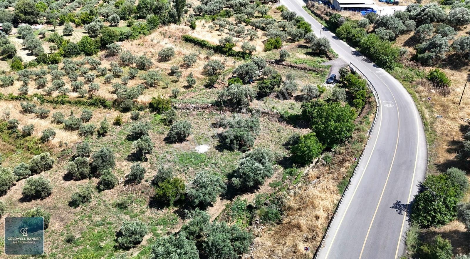 Karacasu Yenice Mahallesinde 887 M2 Satılık Arsa - Görsel 14