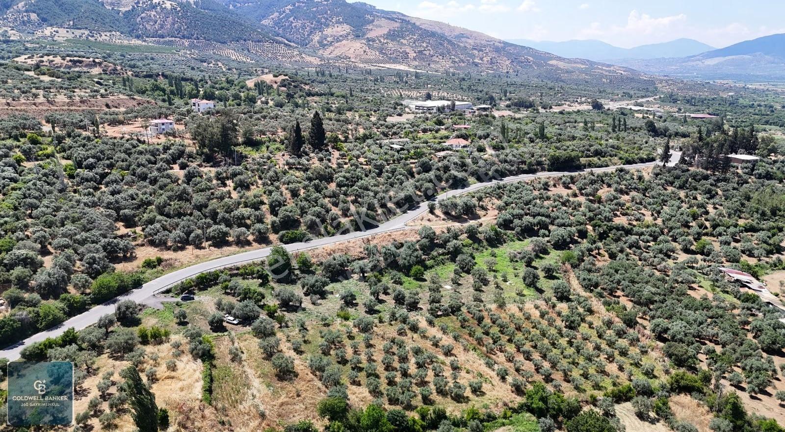 Karacasu Yenice Mahallesinde 887 M2 Satılık Arsa - Görsel 7