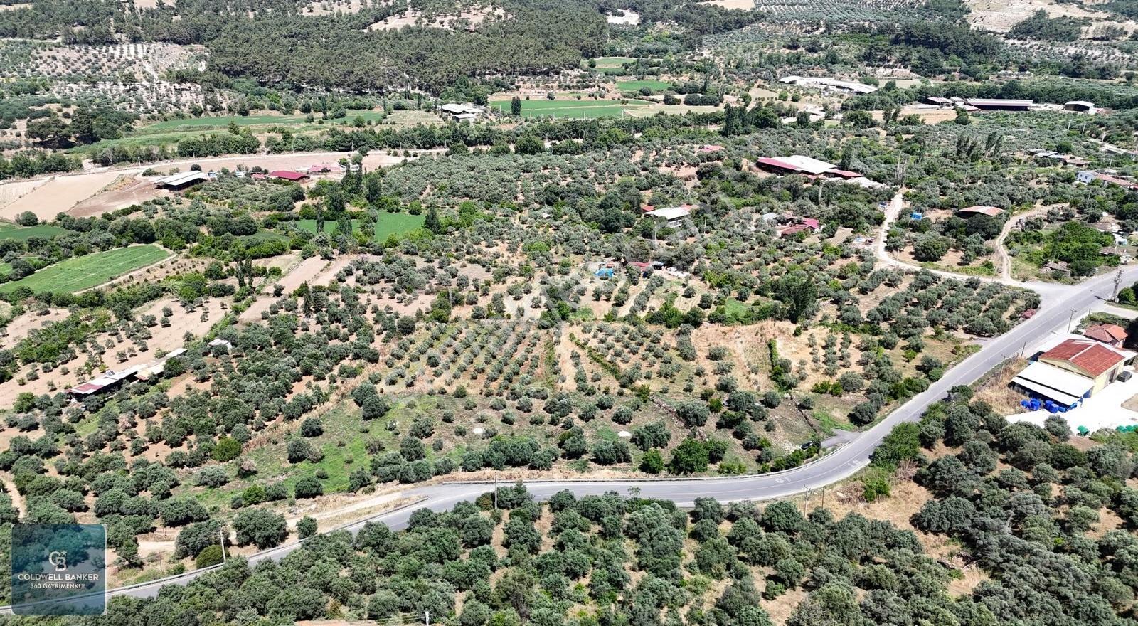 Karacasu Yenice Mahallesinde 887 M2 Satılık Arsa - Görsel 11