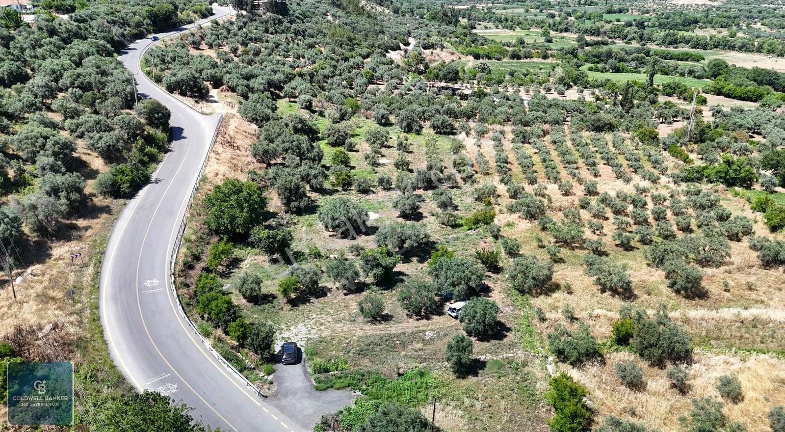 Karacasu Yenice Mahallesinde 887 M2 Satılık Arsa - Görsel 20