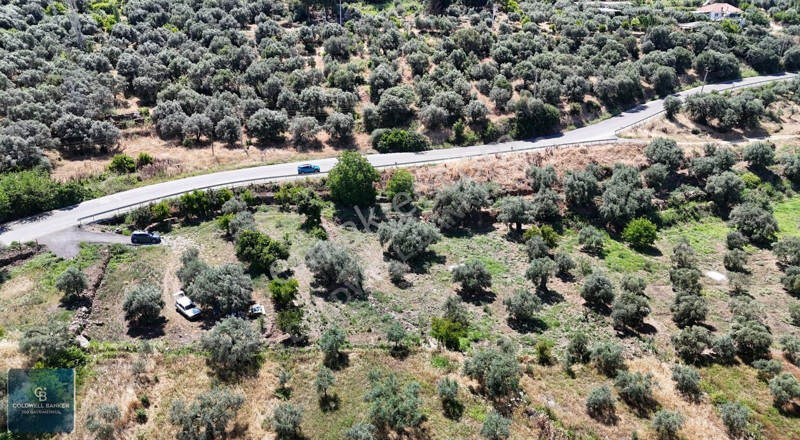 Karacasu Yenice Mahallesinde 887 M2 Satılık Arsa - Görsel 2
