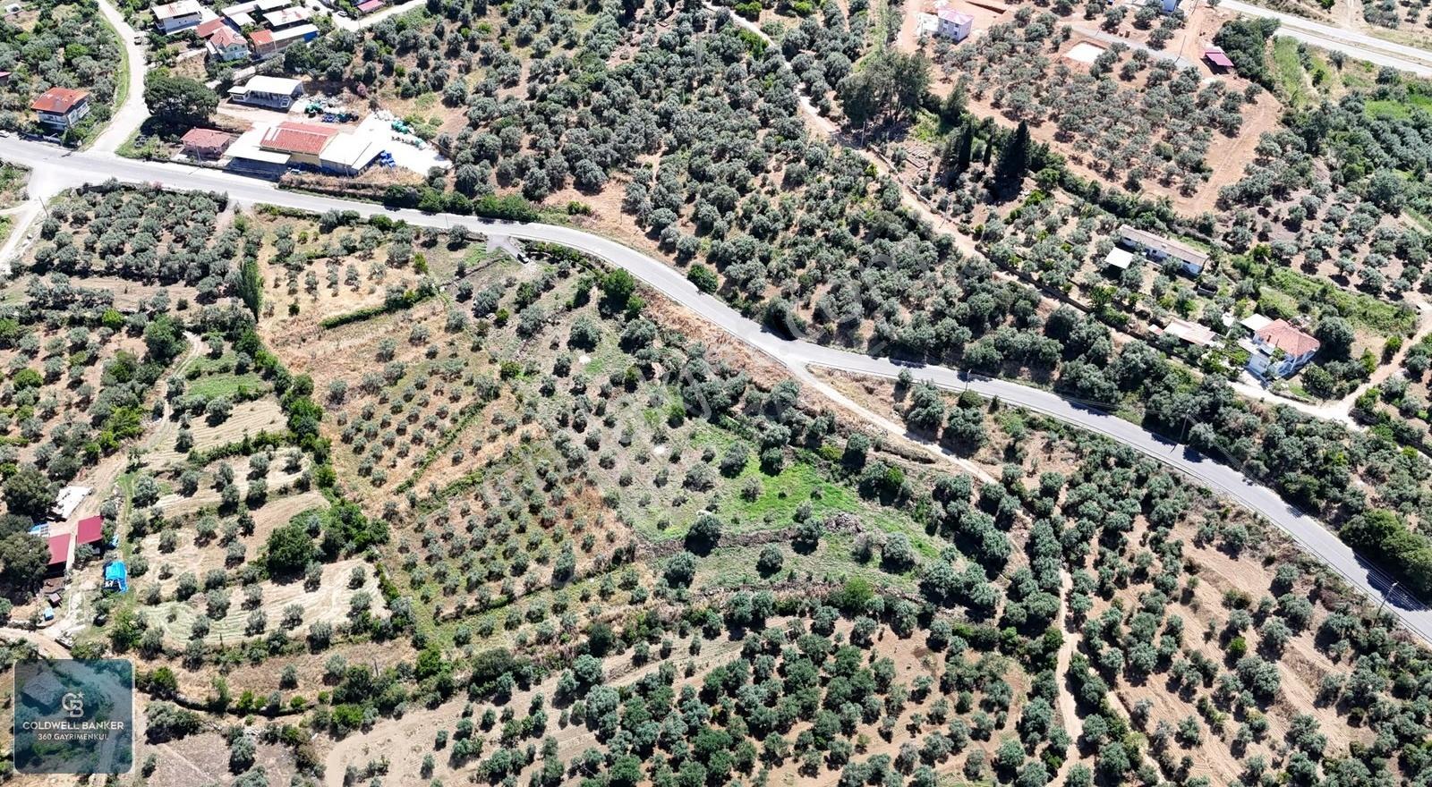 Karacasu Yenice Mahallesinde 887 M2 Satılık Arsa - Görsel 9