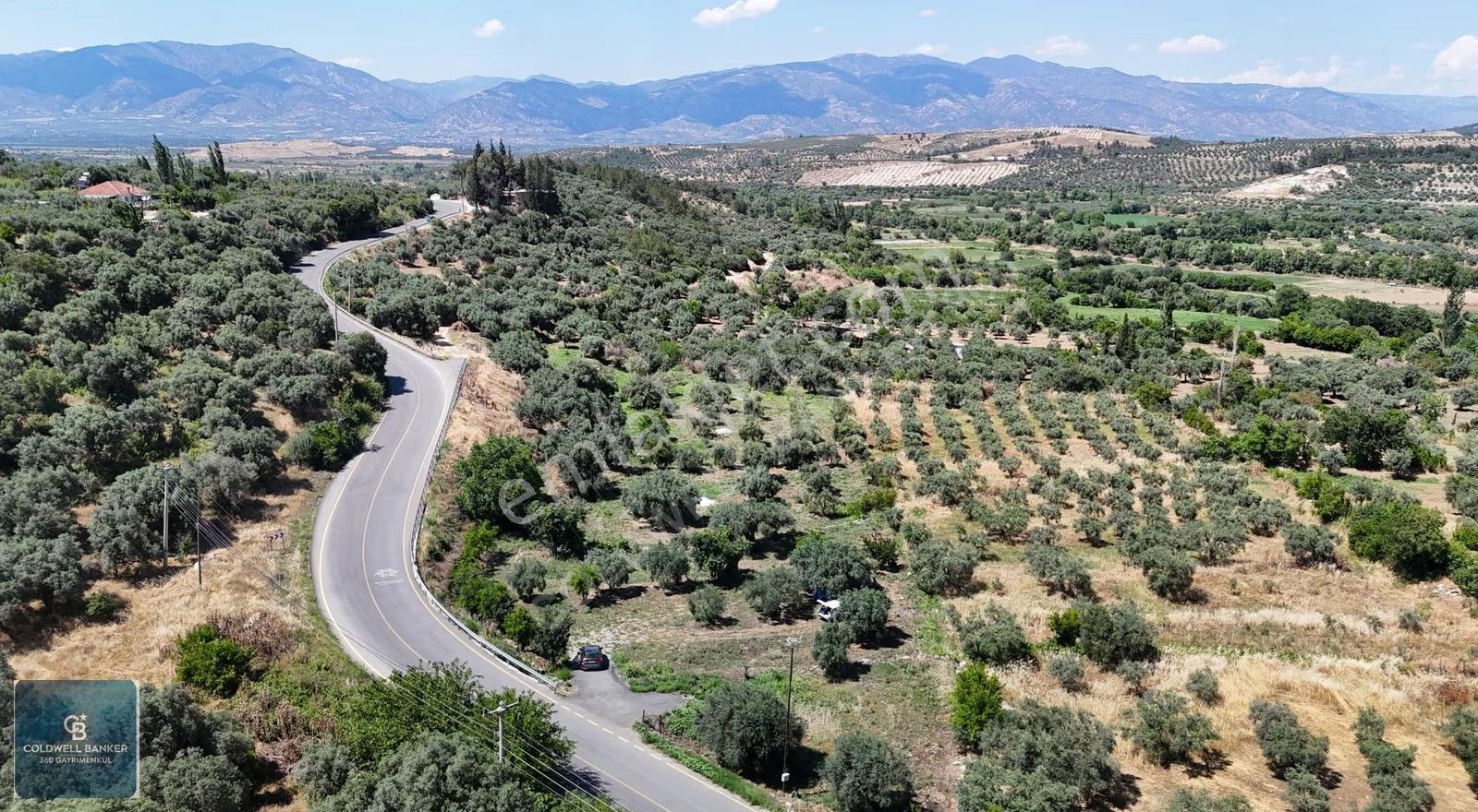 Karacasu Yenice Mahallesinde 887 M2 Satılık Arsa - Görsel 21