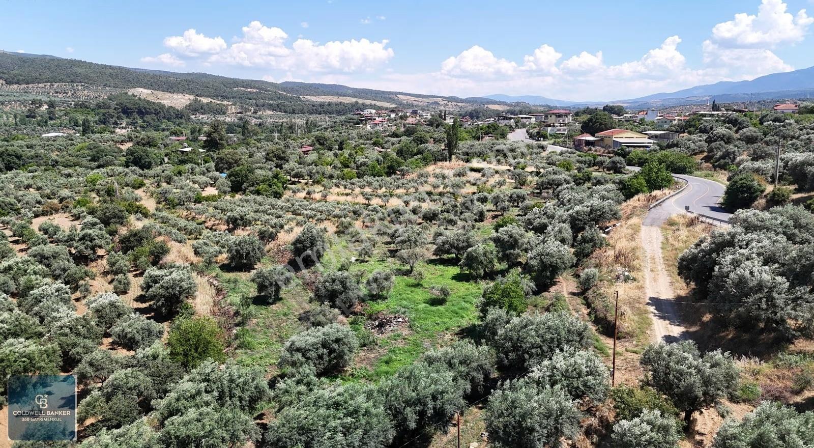 Karacasu Yenice Mahallesinde 887 M2 Satılık Arsa - Görsel 5