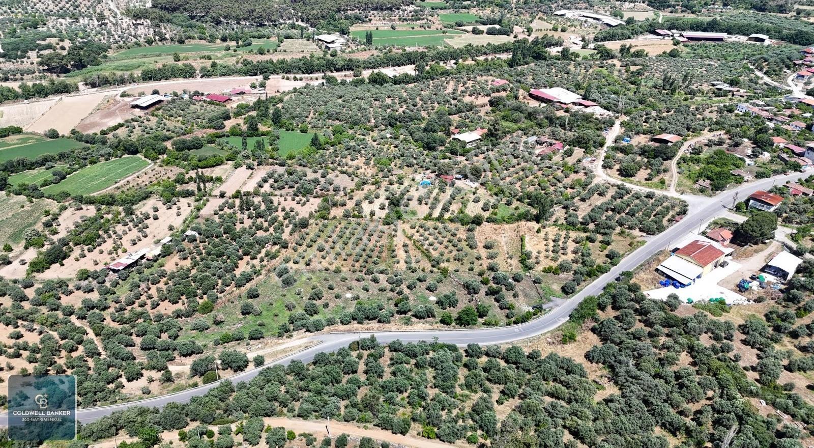 Karacasu Yenice Mahallesinde 887 M2 Satılık Arsa - Görsel 4