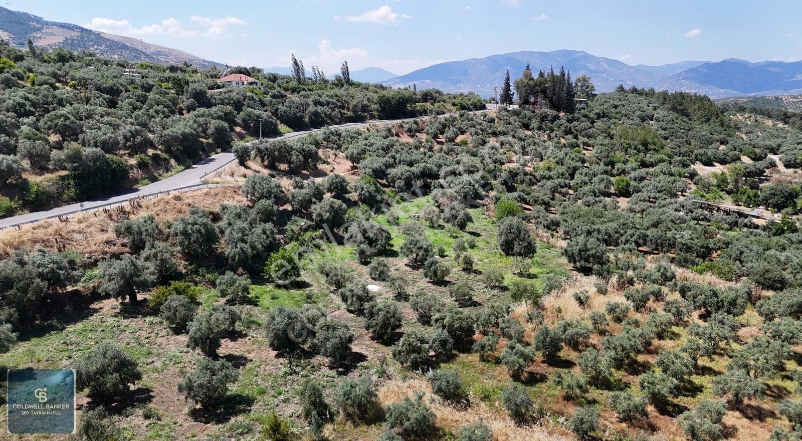 Karacasu Yenice Mahallesinde 700 M2 Satılık Arsa - Görsel 24