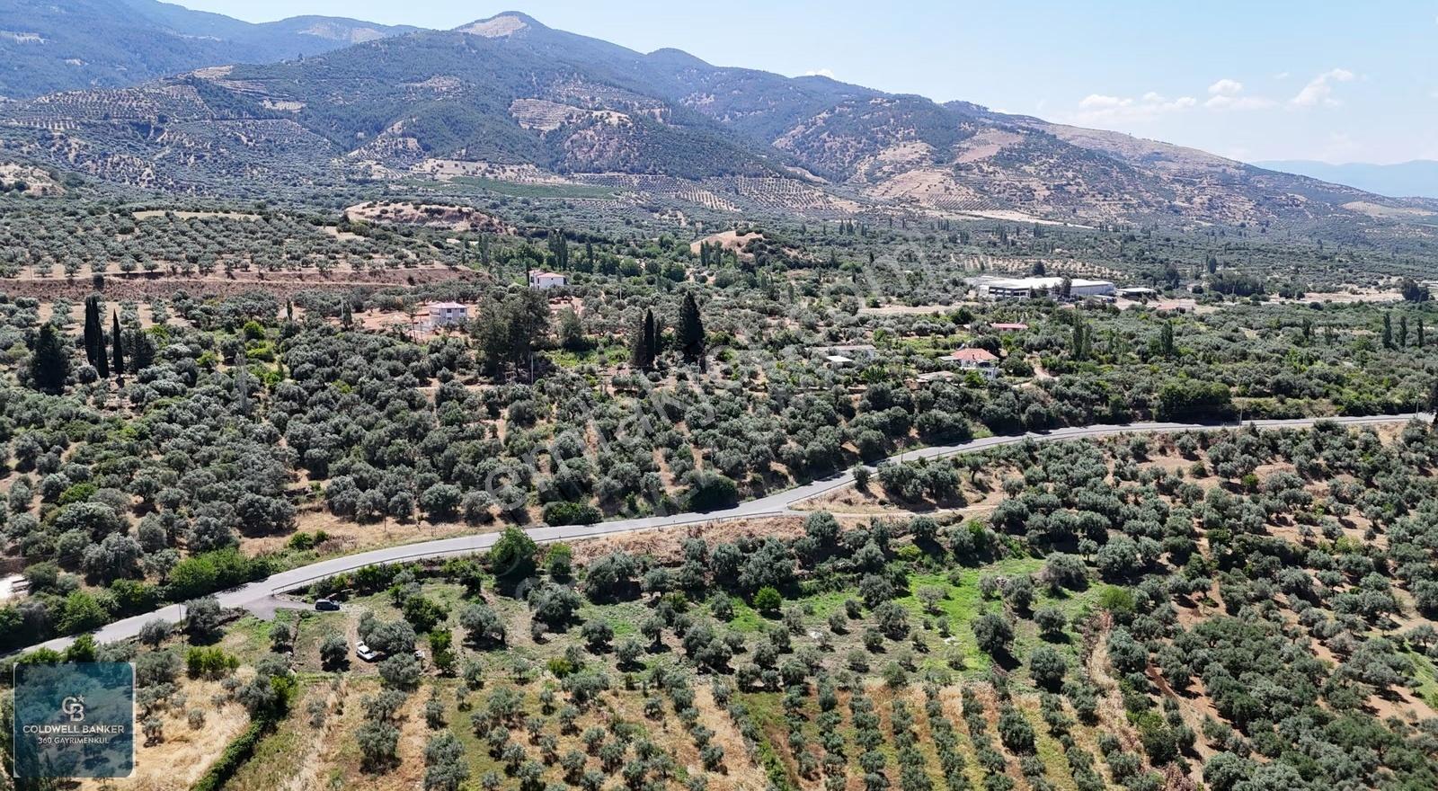Karacasu Yenice Mahallesinde 700 M2 Satılık Arsa - Görsel 14