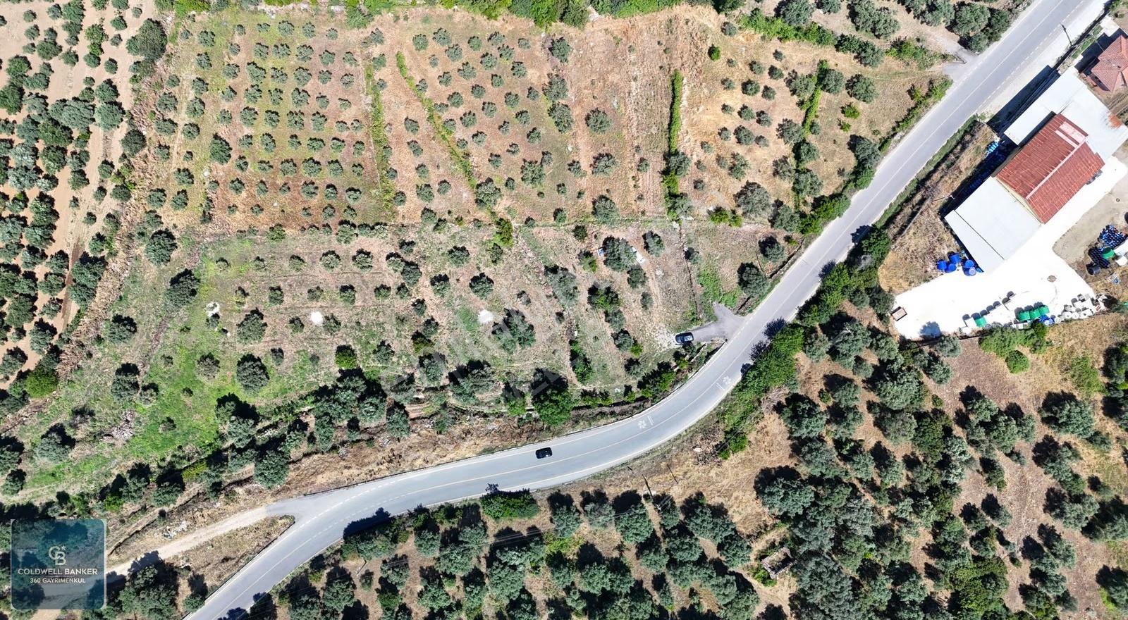 Karacasu Yenice Mahallesinde 700 M2 Satılık Arsa - Görsel 26