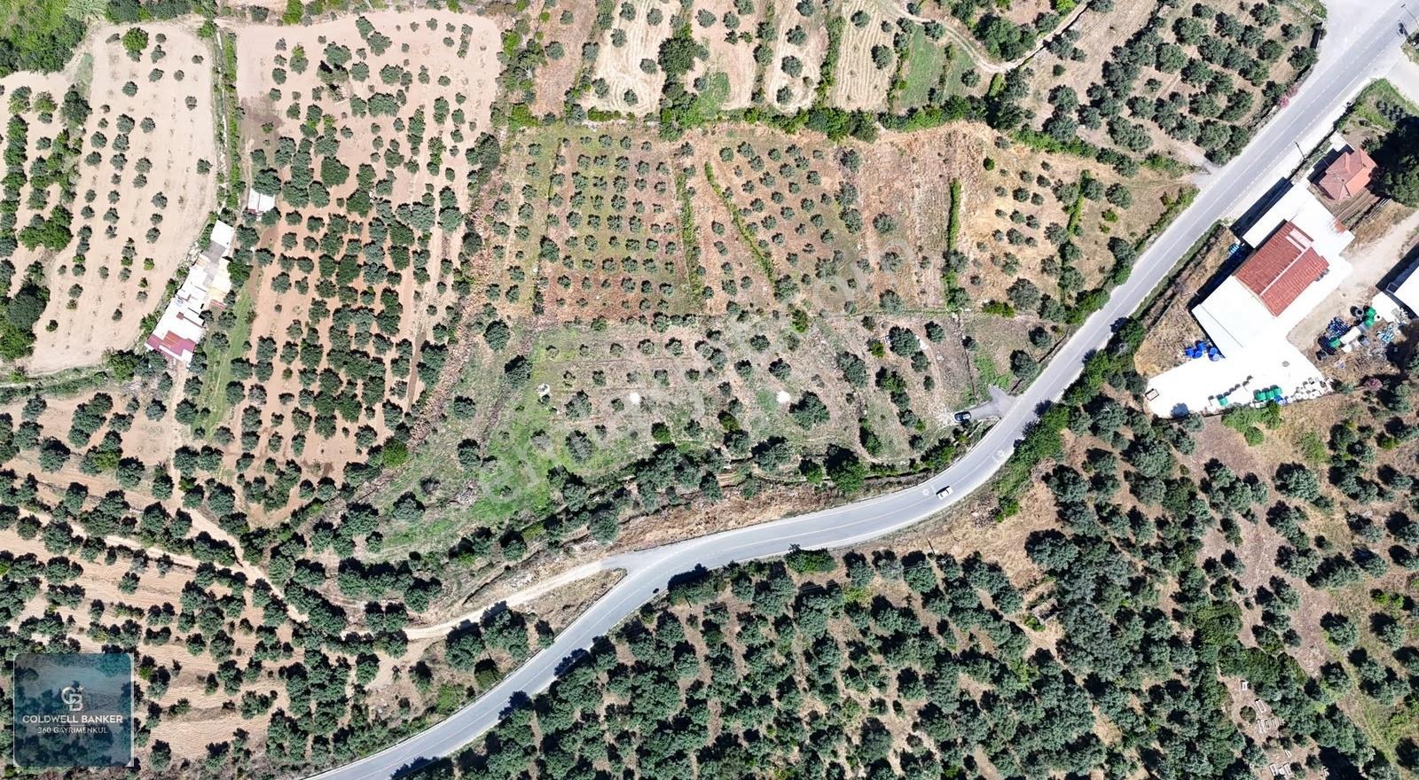 Karacasu Yenice Mahallesinde 555 M2 Satılık Arsa - Görsel 10
