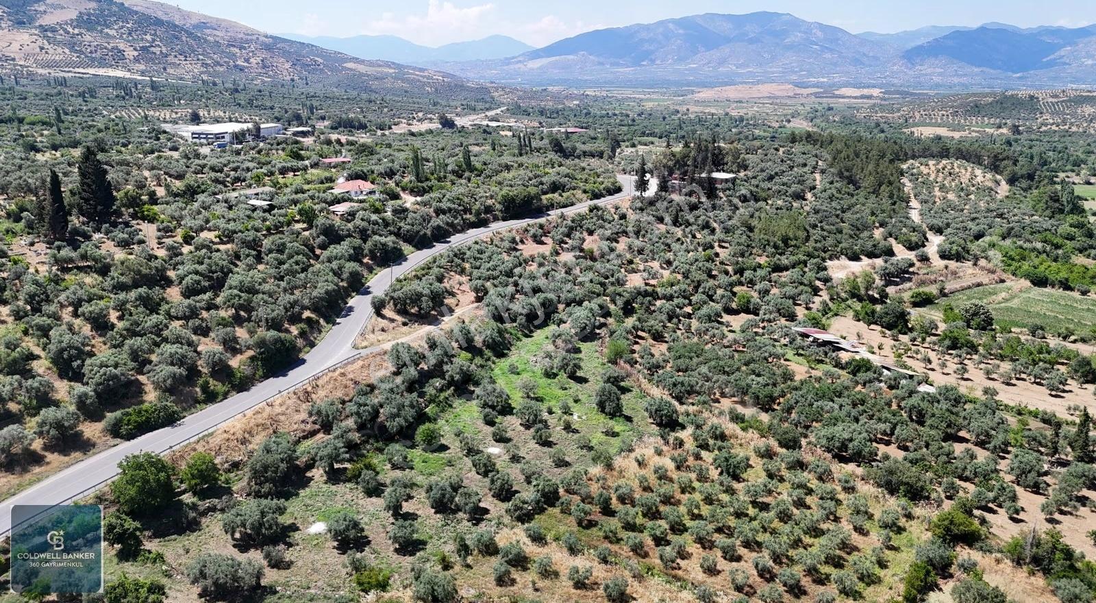 Karacasu Yenice Mahallesinde 555 M2 Satılık Arsa - Görsel 23