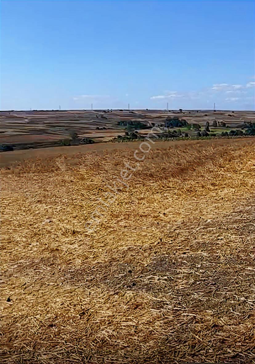 Istanbul Silivri Sancaktepe Satılık Arsa - Görsel 7