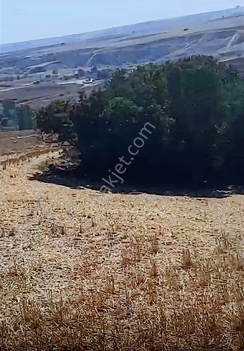 Istanbul Silivri Sancaktepe Satılık Arsa - Görsel 5
