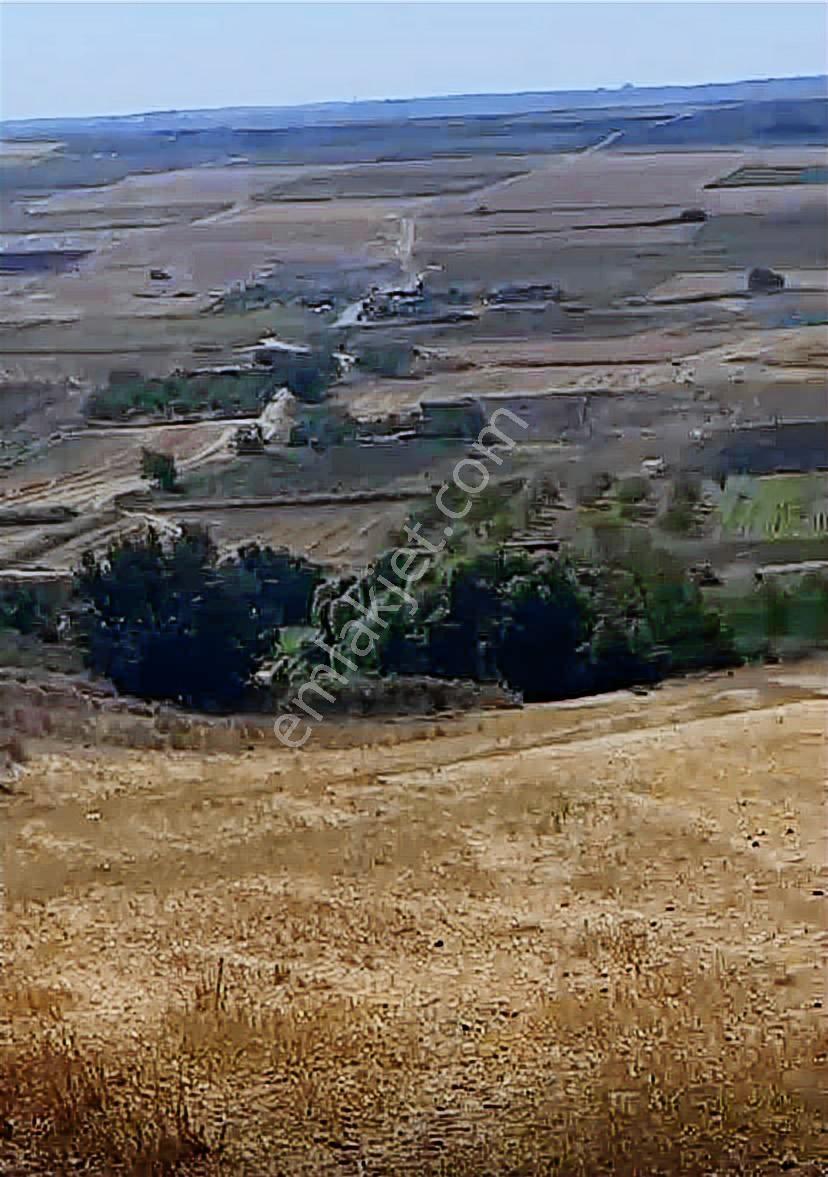 Istanbul Silivri Sancaktepe Satılık Arsa