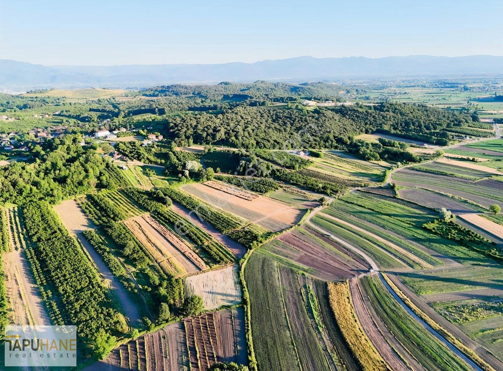 Tapuhane'den Y. Çalıcada 1618 M2 Satılık Tarla - Görsel 12