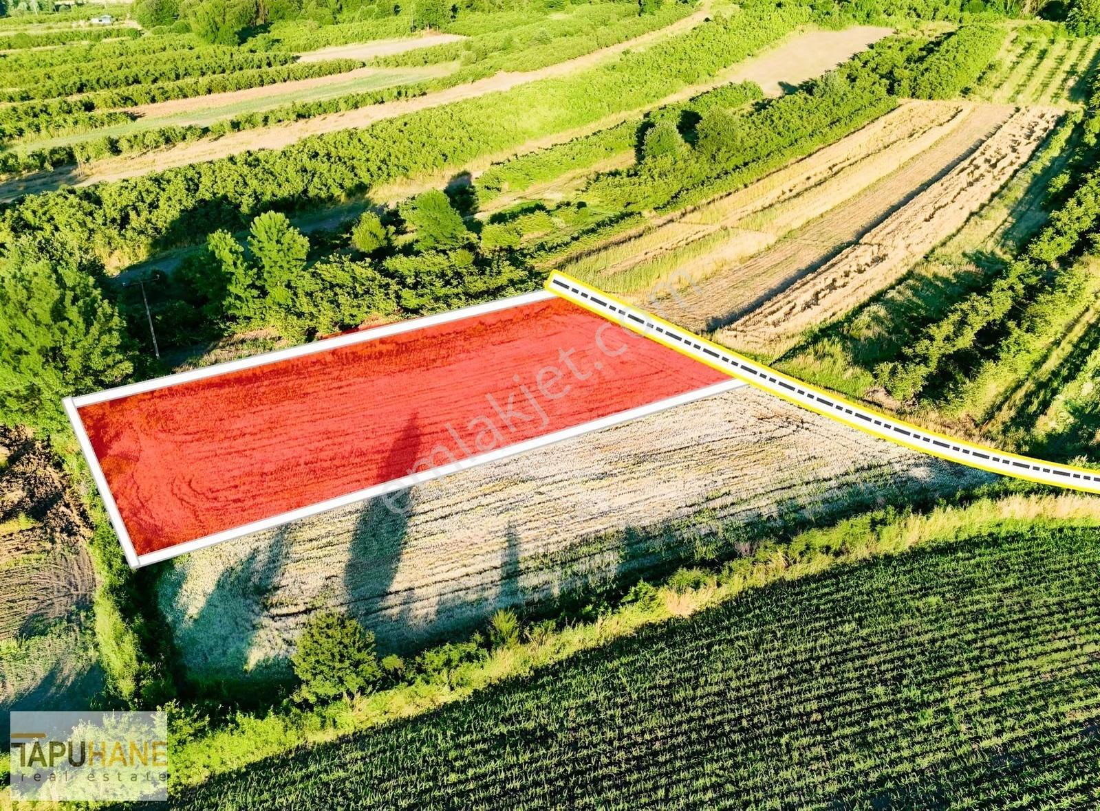 Tapuhane'den Y. Çalıcada 1618 M2 Satılık Tarla - Görsel 11