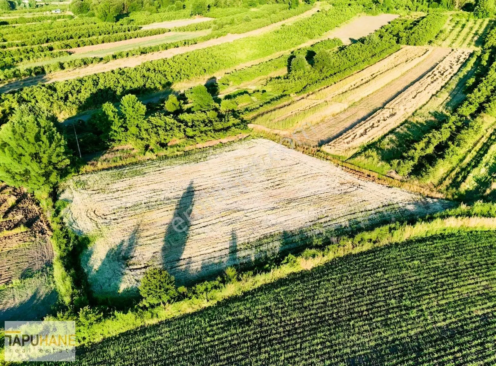 Tapuhane'den Y. Çalıcada 1618 M2 Satılık Tarla - Görsel 5