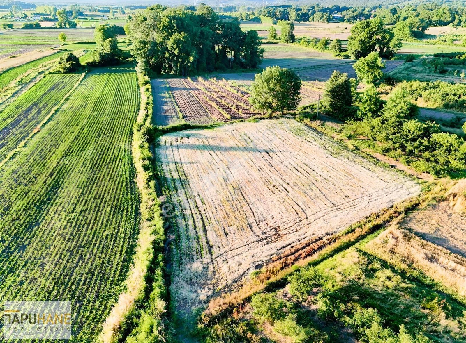 Tapuhane'den Y. Çalıcada 1382 M2 Satılık Tarla - Görsel 12