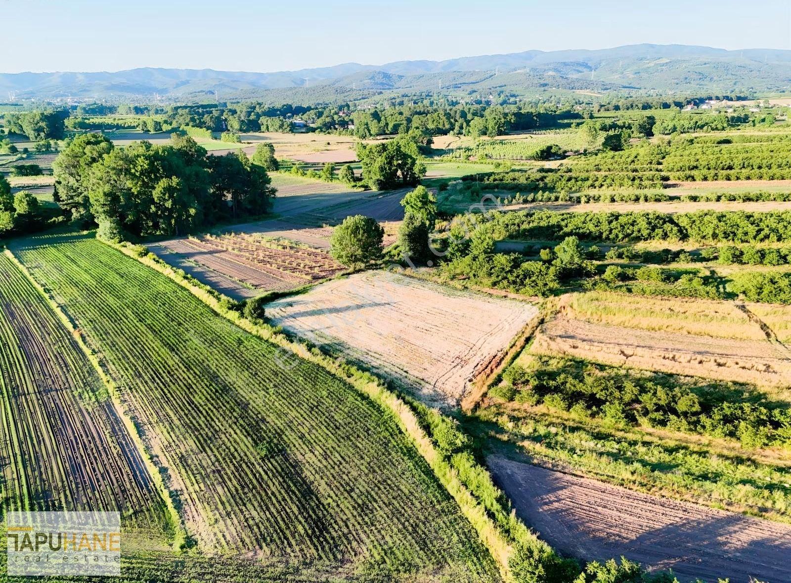 Tapuhane'den Y. Çalıcada 1382 M2 Satılık Tarla - Görsel 2
