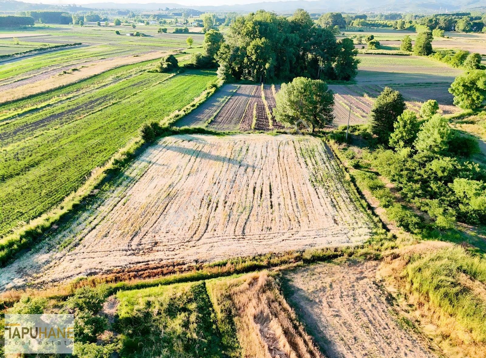 Tapuhane'den Y. Çalıcada 1382 M2 Satılık Tarla - Görsel 10