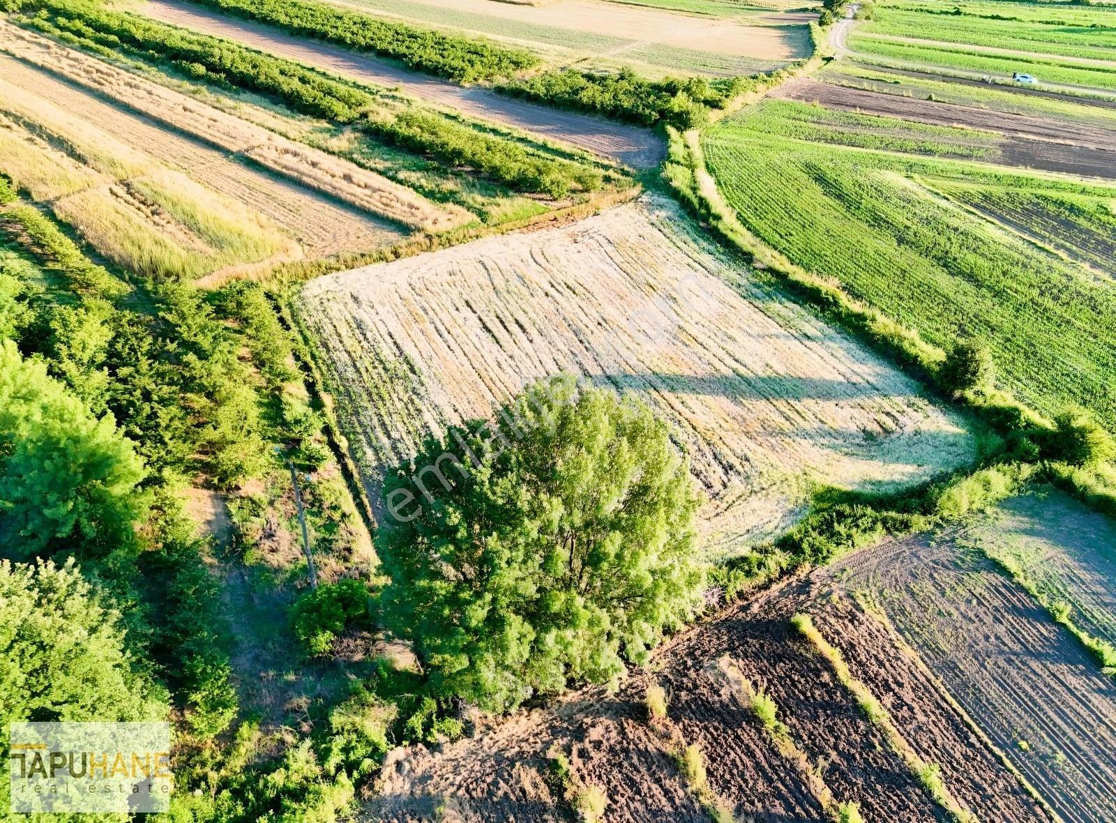 Tapuhane'den Y. Çalıcada 1382 M2 Satılık Tarla - Görsel 14