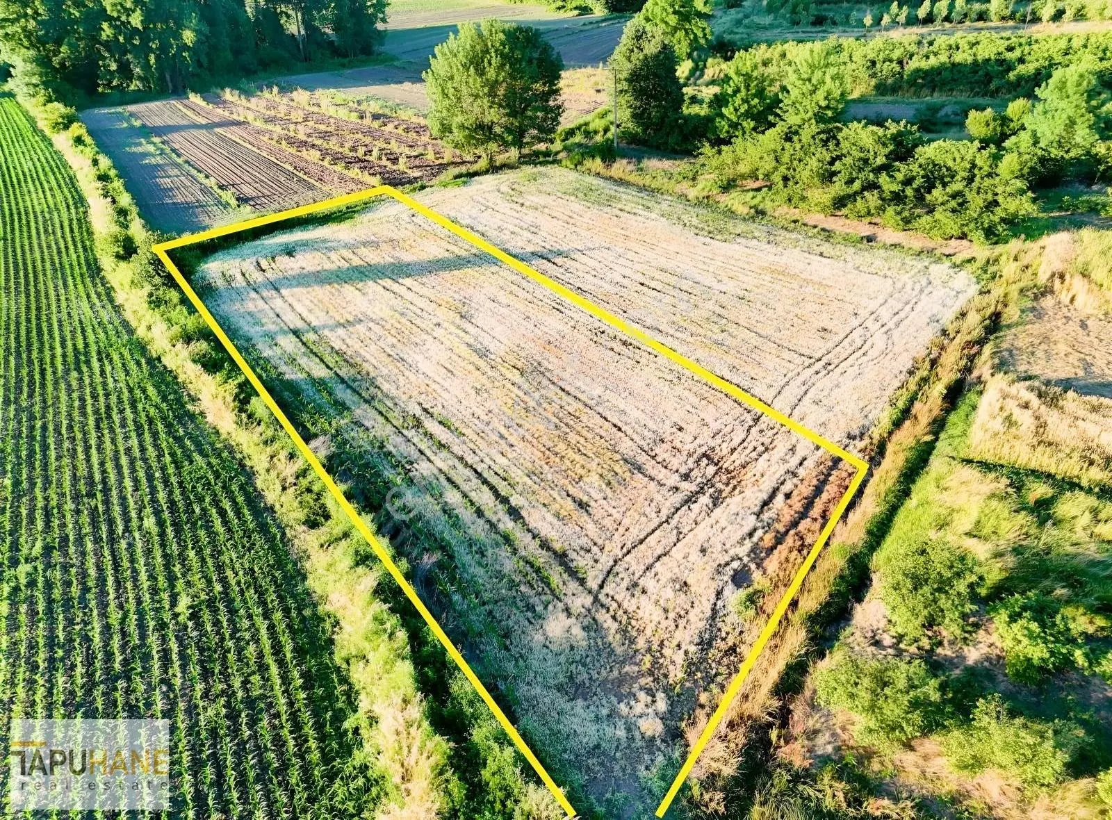 Tapuhane'den Y. Çalıcada 1382 M2 Satılık Tarla - Görsel 4
