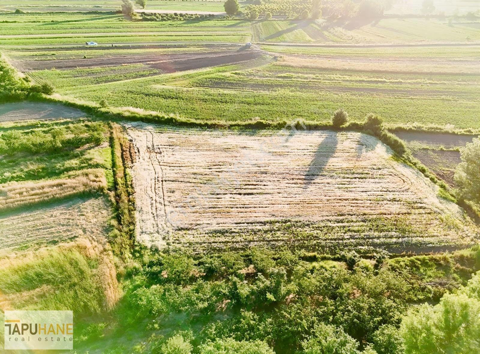Tapuhane'den Y. Çalıcada 1382 M2 Satılık Tarla - Görsel 3