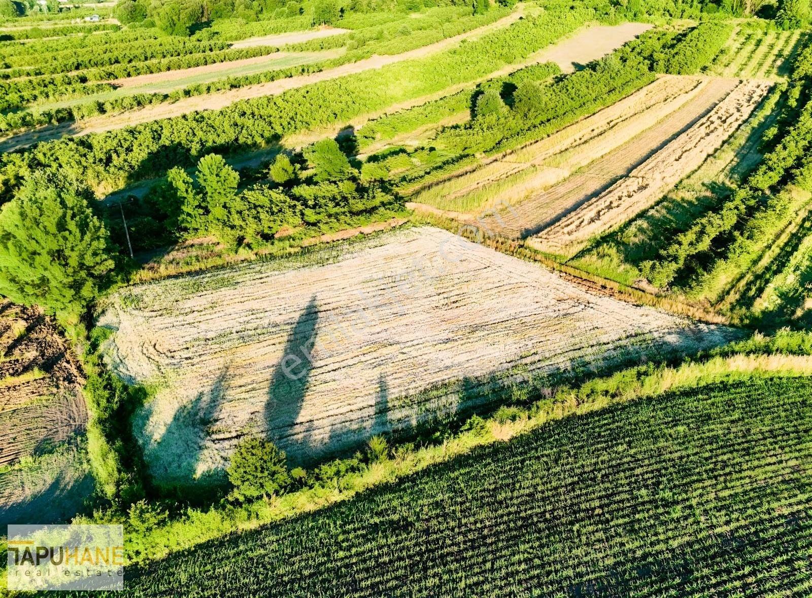 Tapuhane'den Y. Çalıcada 1382 M2 Satılık Tarla - Görsel 7