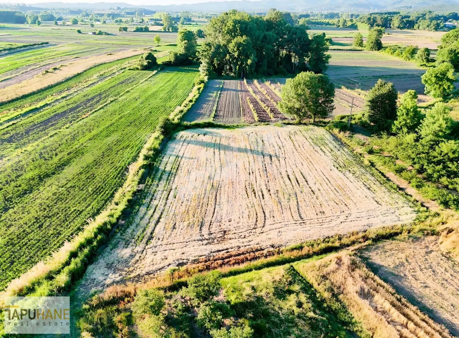 Tapuhane'den Y. Çalıcada 1382 M2 Satılık Tarla - Görsel 5