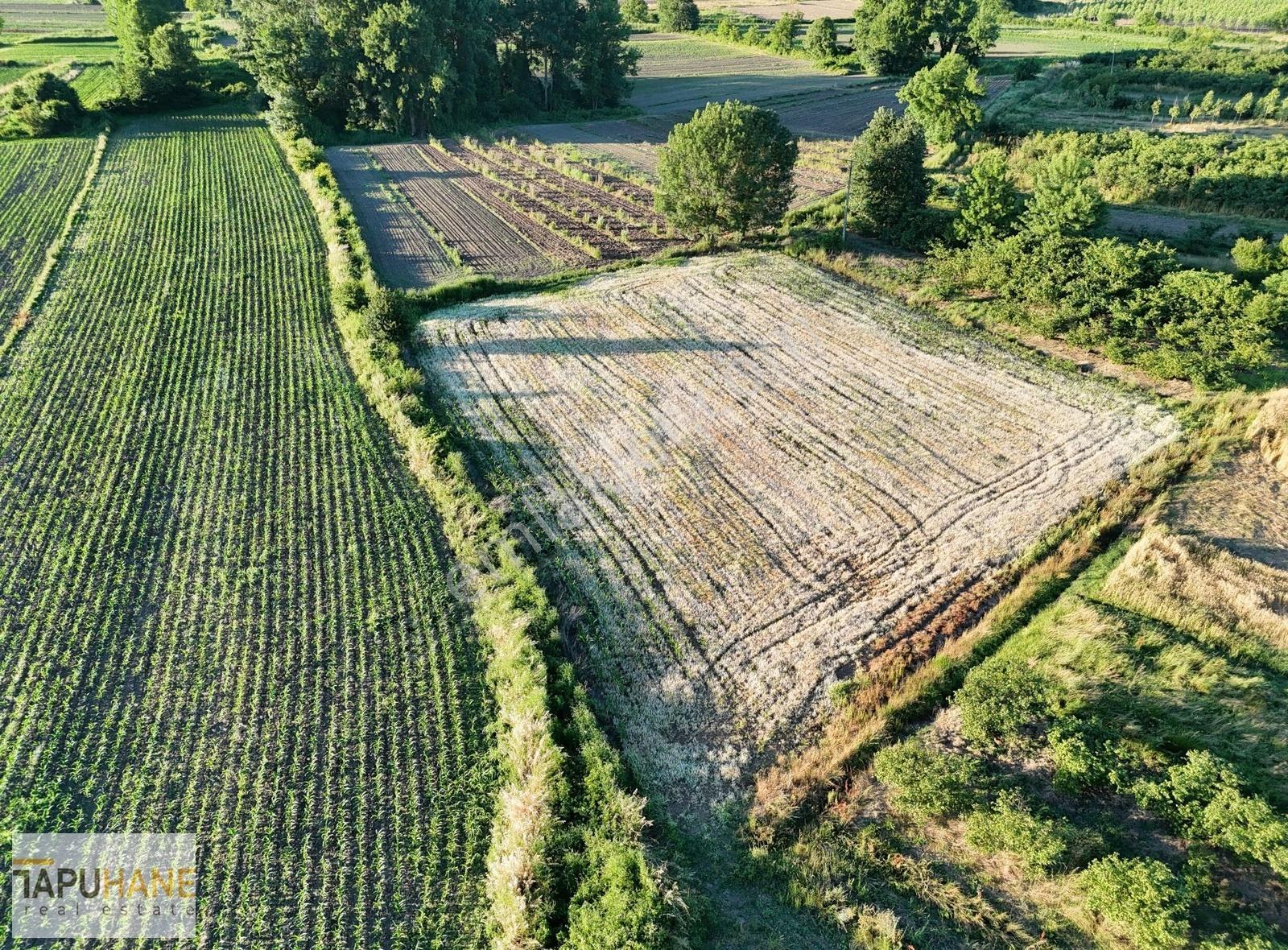 Tapuhane'den Y. Çalıcada 1382 M2 Satılık Tarla - Görsel 6