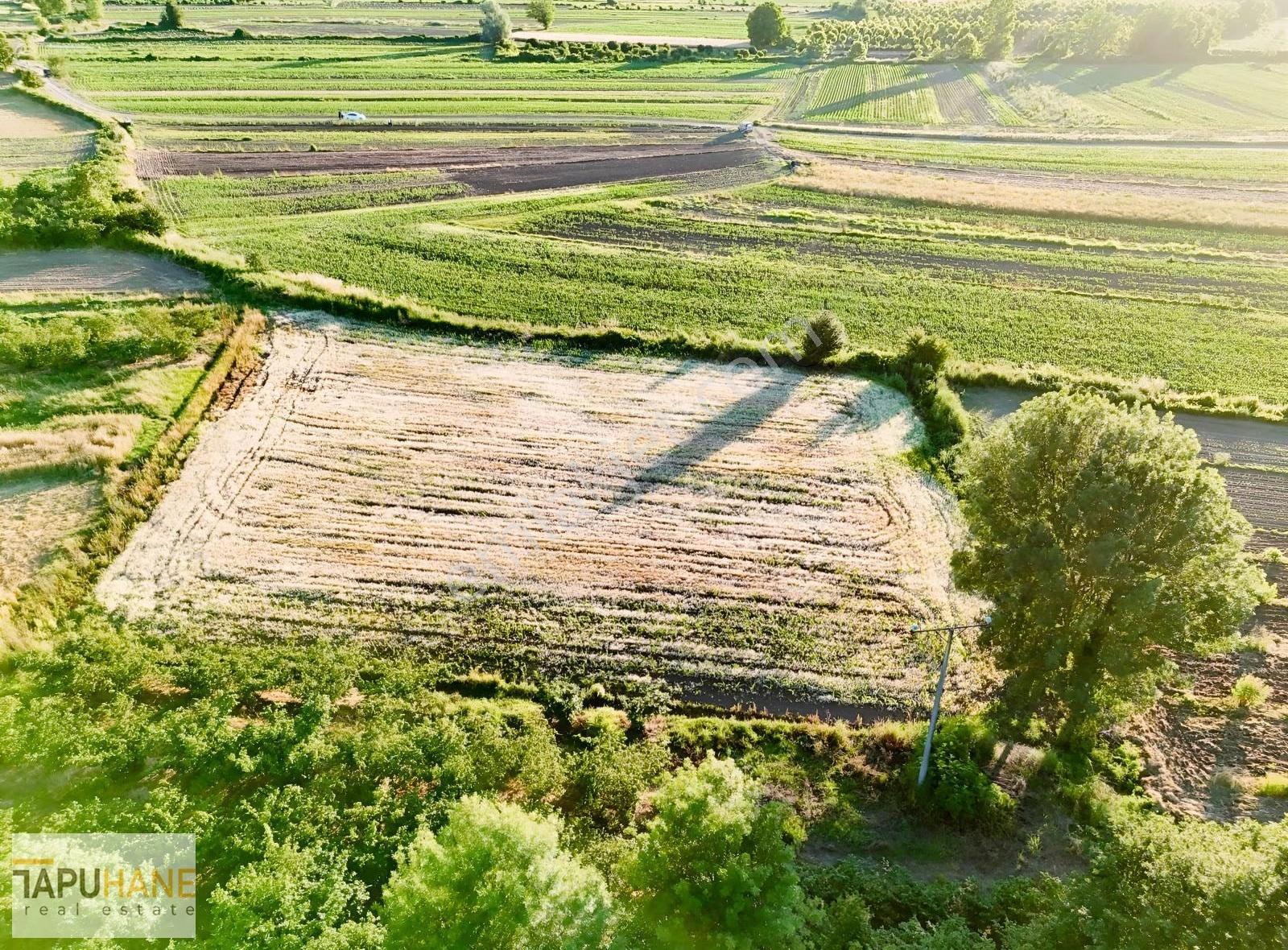 Tapuhane'den Y. Çalıcada 1382 M2 Satılık Tarla - Görsel 15