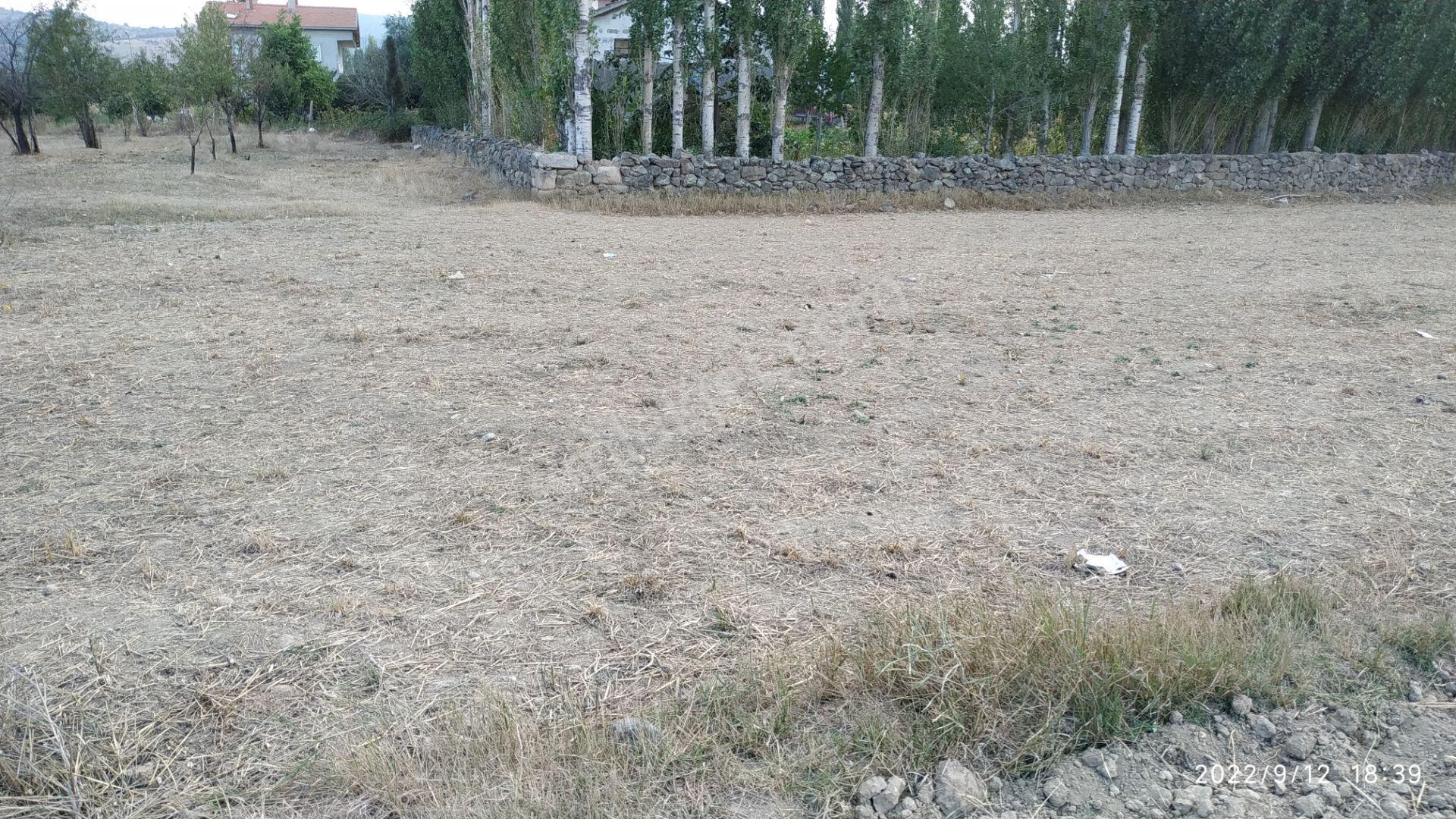 Tek Tapulu Satılık Yatırımlık Tarla – Kılıçarslan Kasabası - Görsel 13