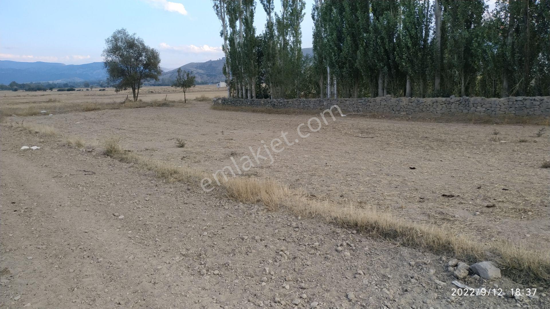 Tek Tapulu Satılık Yatırımlık Tarla – Kılıçarslan Kasabası - Görsel 5