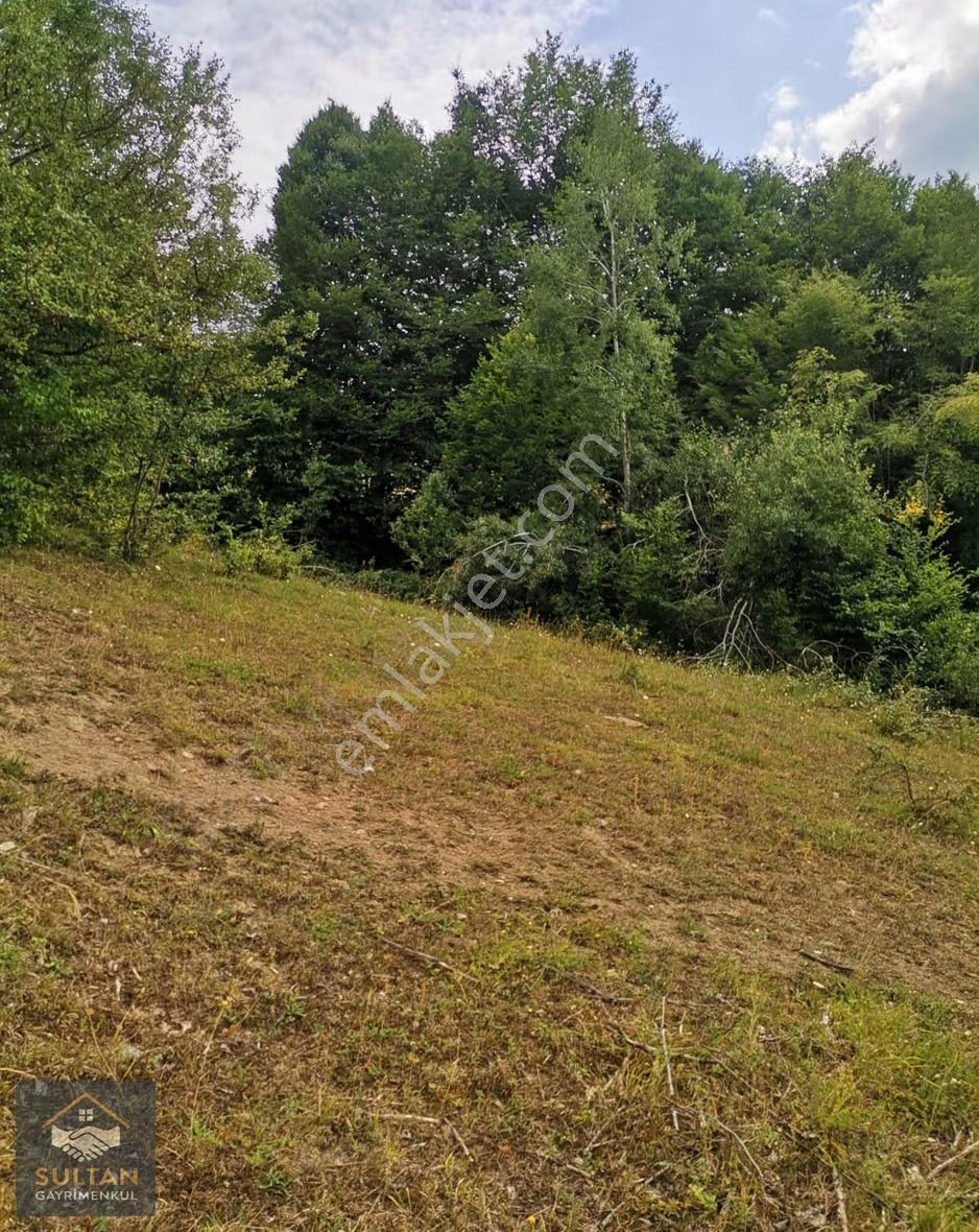 Ladik Gölüne Yakın Yola Cephe Satılık Tarla - Görsel 9