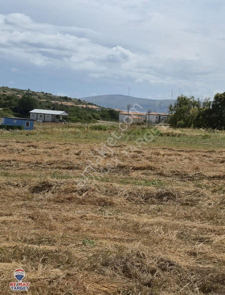 Çeşme Çiftlik Geleceğe Yatırım - Görsel 10