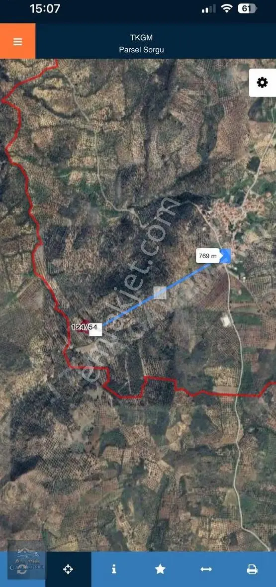 Gömeç Kuyualan'da Fırsat Zeytınlık