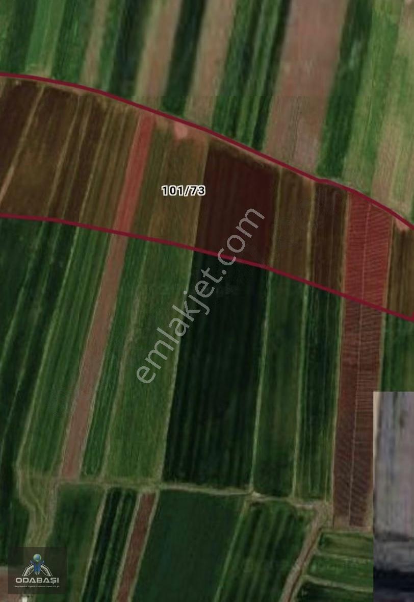 Kayapınar Hatipoğlu'nda Yatırımlık (452 M2) Arsa - Görsel 2
