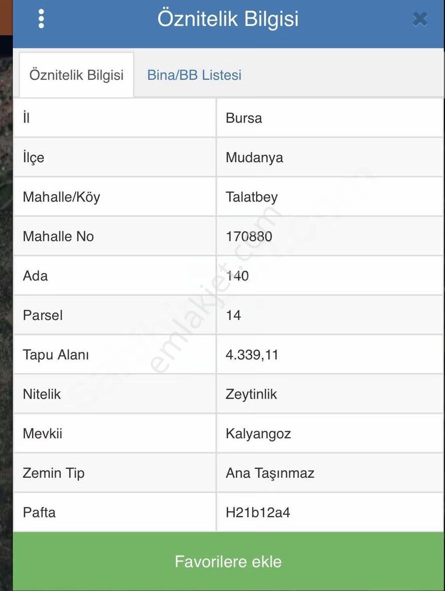 Mudanya Talatbey De (tirilye Zaytinbağ) Satılık Zeytinlik