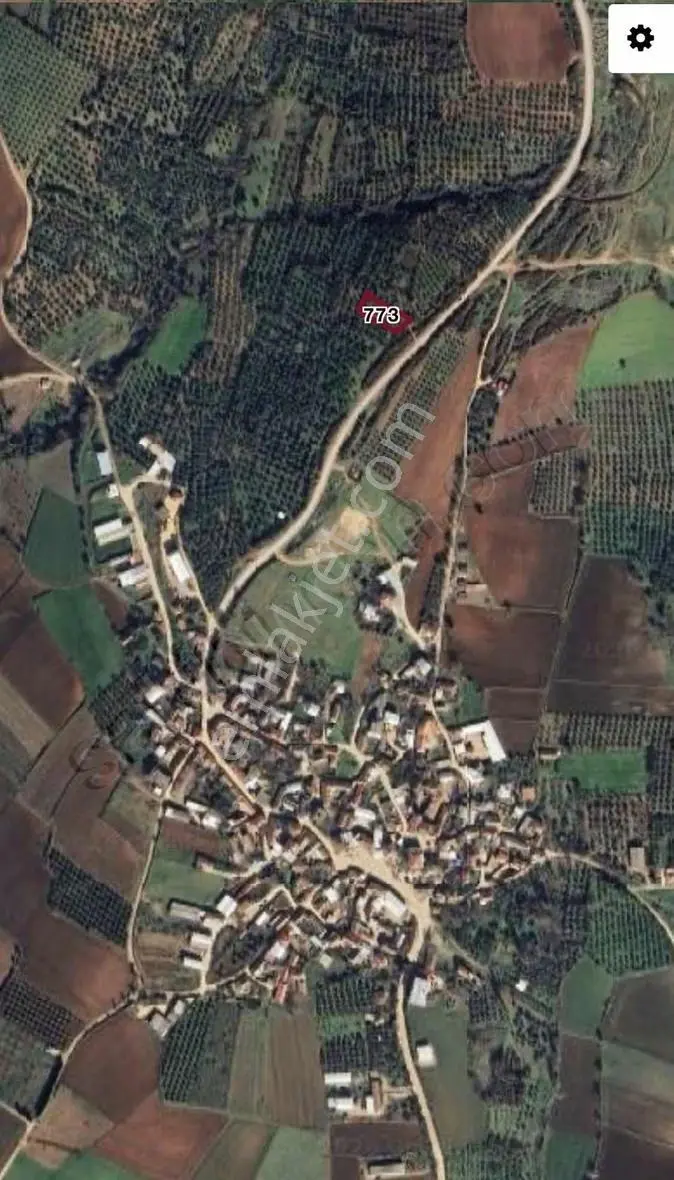 Karacabey Doğla Köyde Dokuz 55 Metre² Satılık Zeytinlik