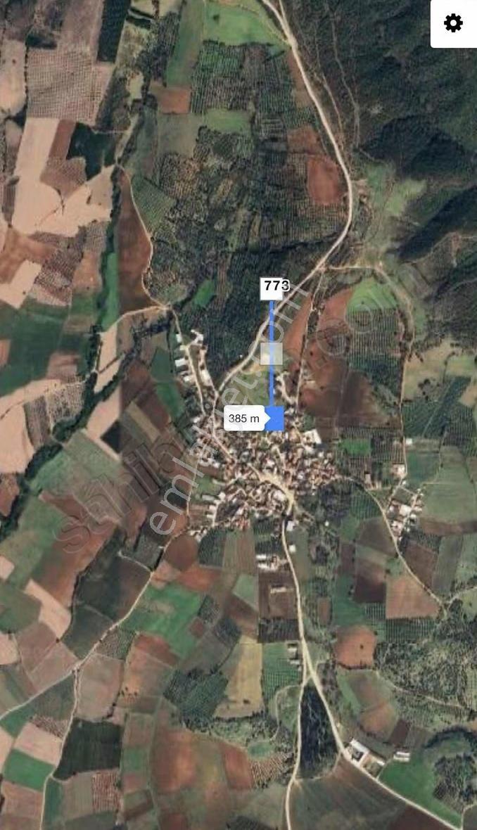 Karacabey Doğla Köyde Dokuz 55 Metre² Satılık Zeytinlik - Görsel 3