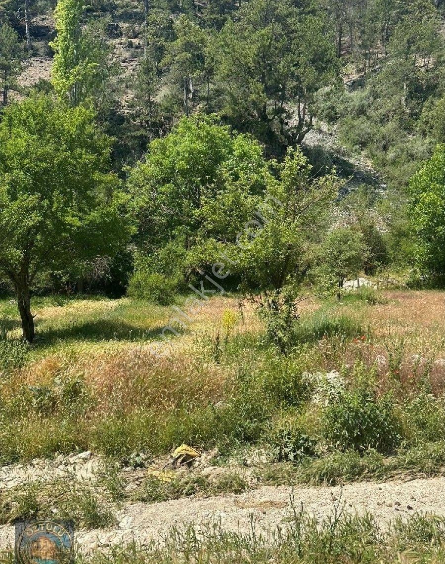 Yeşildere Satılık Yola Cephe 2 Parsel - Görsel 3