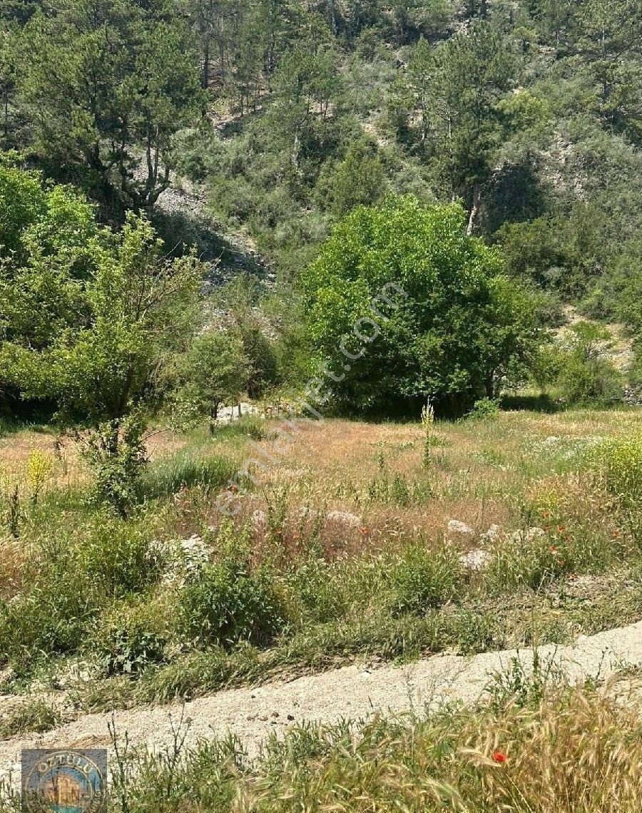 Yeşildere Satılık Yola Cephe 2 Parsel - Görsel 2
