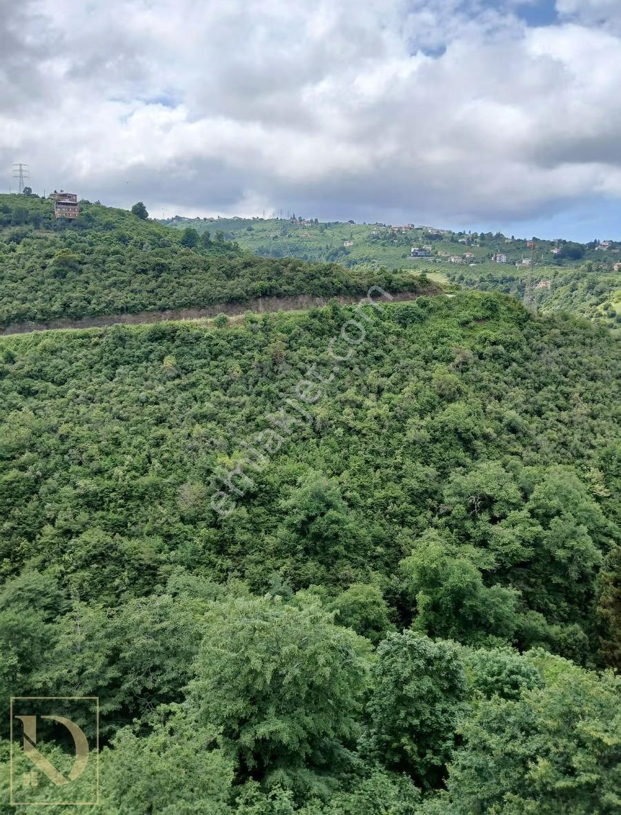 Detay'dan Kaşüstü Tokide 2+1 Kiralık Daire - Görsel 8