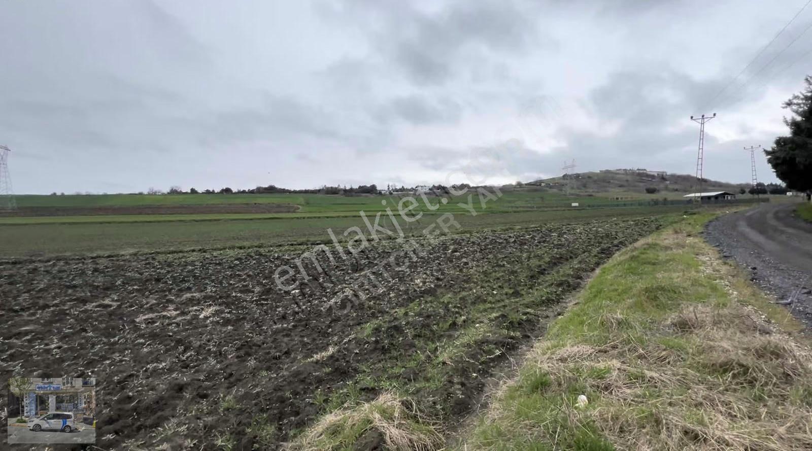 Vilların Yanında 880 M2 Kuzey Marmaraya Komşu Fırsat Parsel - Görsel 6