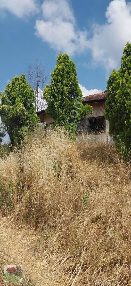 Sakaryanın Akyazı Îlcesinde E 5 Karayolu Üstünde Satılık Tarla - Görsel 17