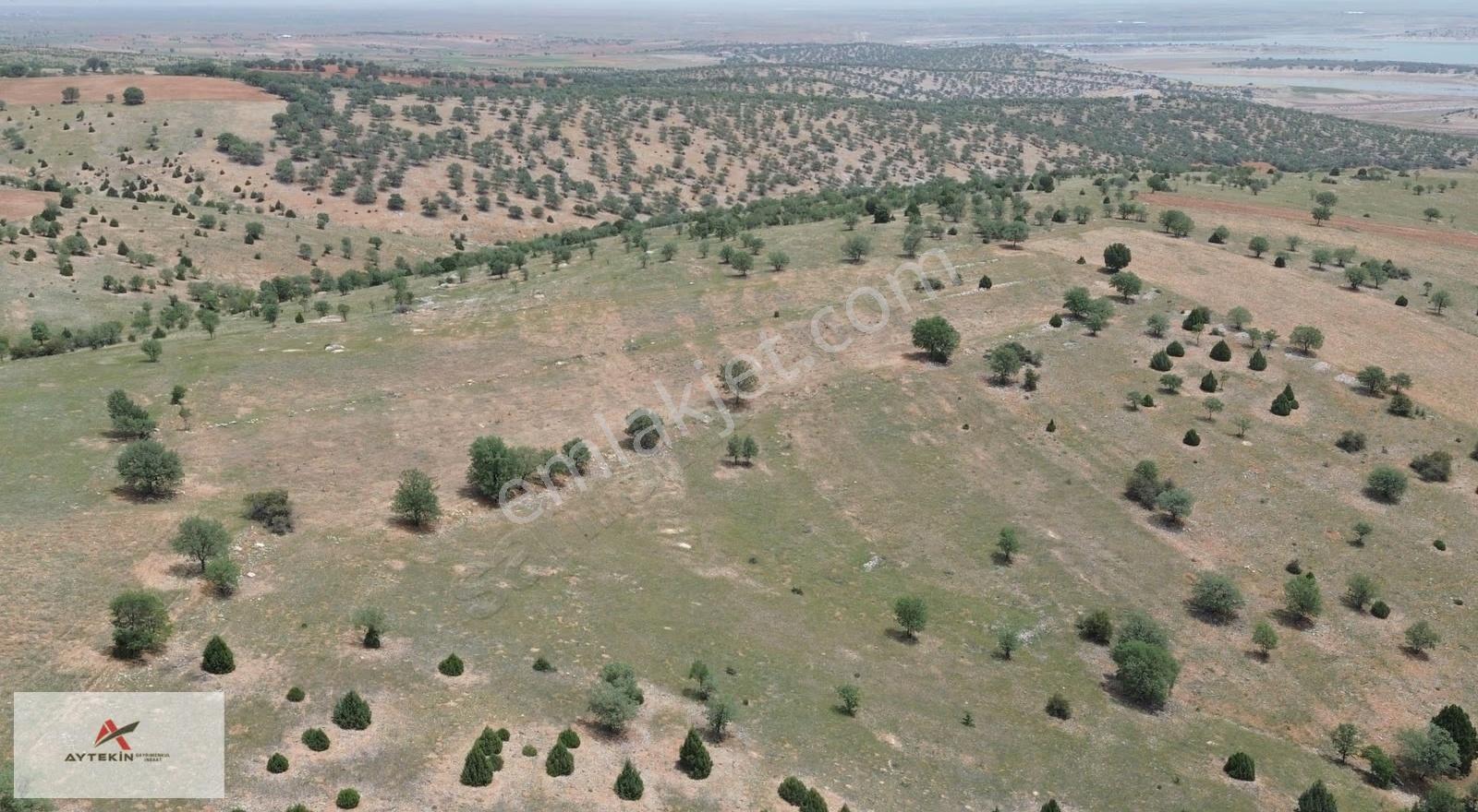 Akören Belkuyu Mahallesi'nde 6.235 M² Müstakil Tapulu Tarla - Görsel 5