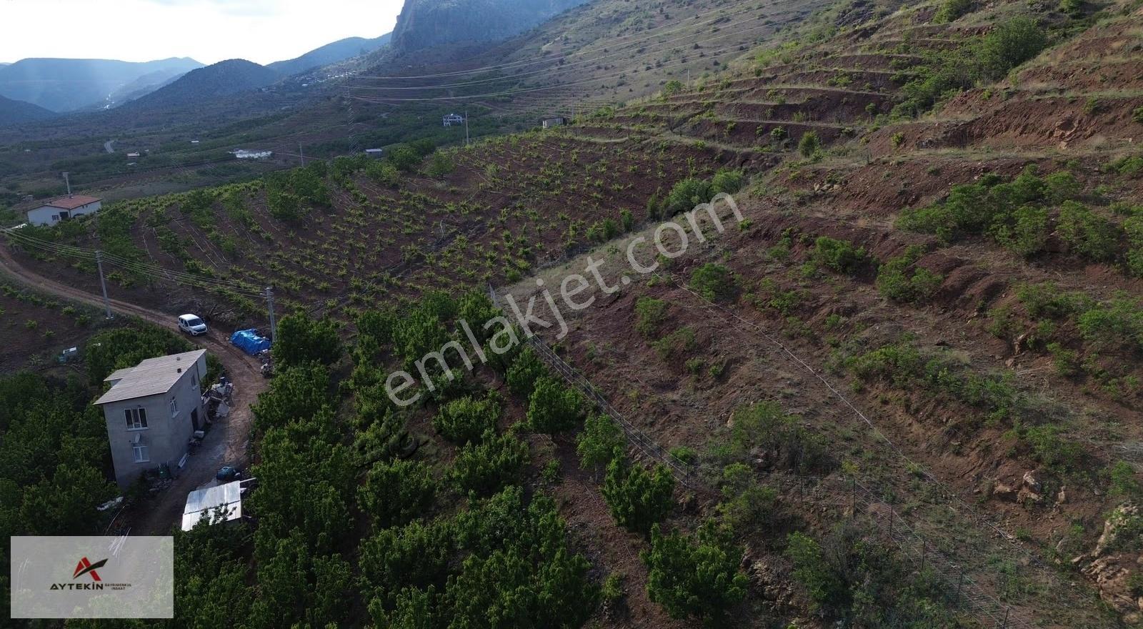 Hadim Aşağıeşenler Mahallesinde 602 M² Müstakil Tapulu Tarla - Görsel 3