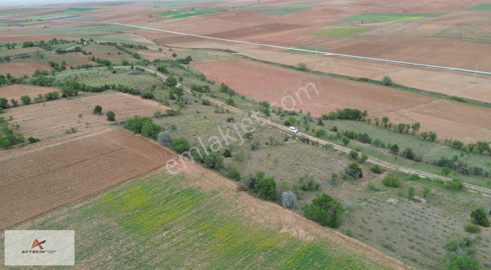 Güneysınır Aydoğmuş Mahallesi'nde 893 M² Müstakil Tapulu Bağ - Görsel 6