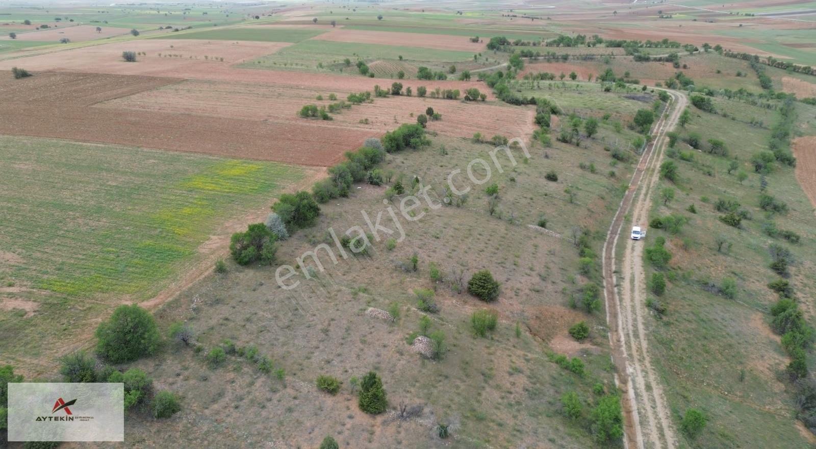 Güneysınır Aydoğmuş Mahallesi'nde 893 M² Müstakil Tapulu Bağ - Görsel 7
