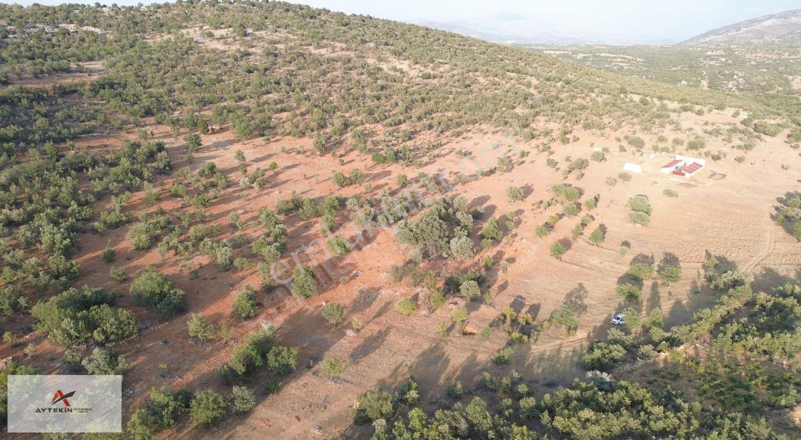 Bozkır Hamzalar Mahallesi'nde 1.291 M² Müstakil Tapulu Bağ - Görsel 8