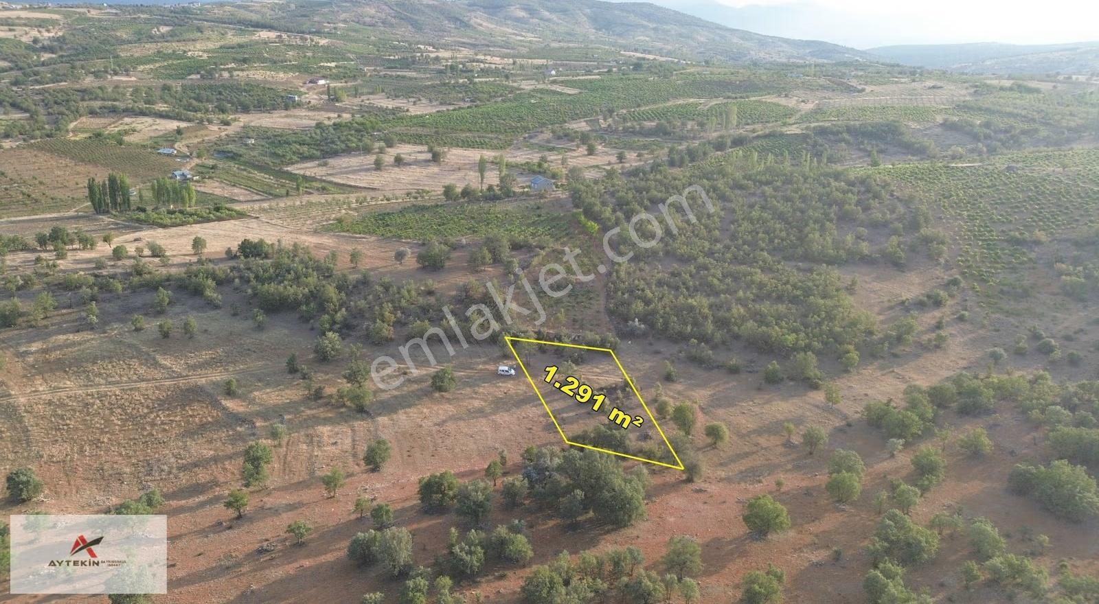 Bozkır Hamzalar Mahallesi'nde 1.291 M² Müstakil Tapulu Bağ - Görsel 6